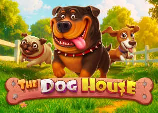 mab96 The Dog House ทดลองเล่นฟรี